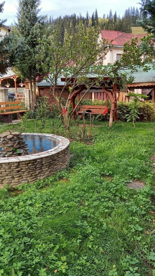 Casa Cu Lavanda Vatra Dornei Ngoại thất bức ảnh