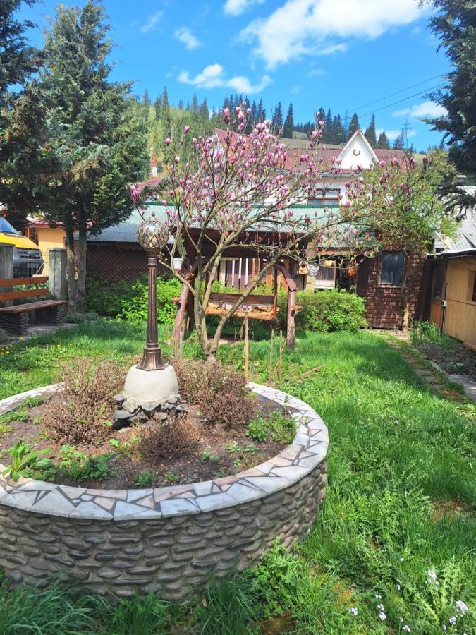Casa Cu Lavanda Vatra Dornei Ngoại thất bức ảnh